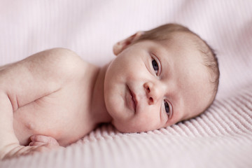Portraits of a baby boy