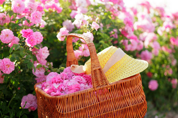 Fototapeta na wymiar Basket with flower from pink oil roses.