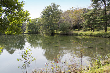 智光山公園のひょうたん池（埼玉県狭山市）