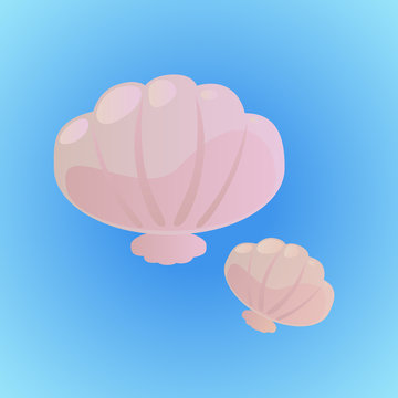 Little seashells vector illustration