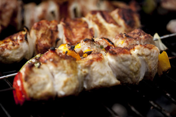 all sorts food on bbq grill