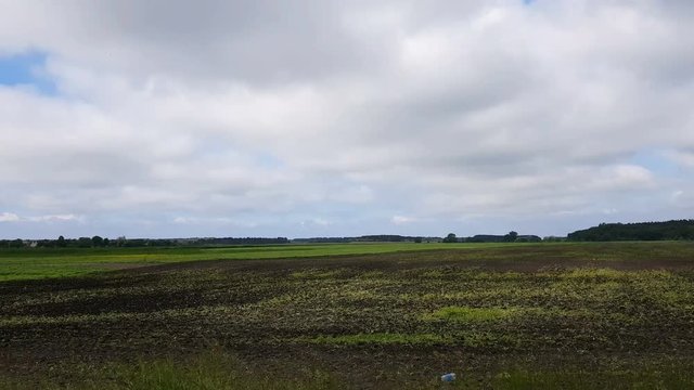 Field in the spring. Beautiful thunder clouds over the field, shooting from a car that goes on the road along the ground. Insects and birds fly, Day, Dynamic scene, 4k video