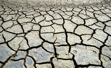 Nationalpark,Wattenmeer,Trockenrisse,Nordsee