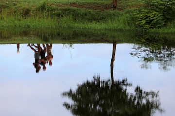 Reflection of the water when people are jogging in the Park.