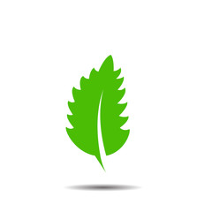 leaf logo concept