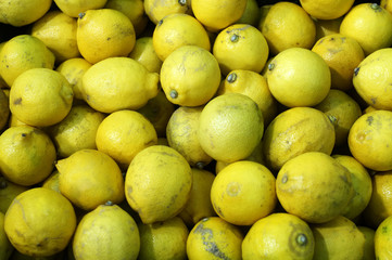 Large amount of lemon fruit