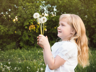 Cute little girl looking at the fluffy dandelions. Portrait of child