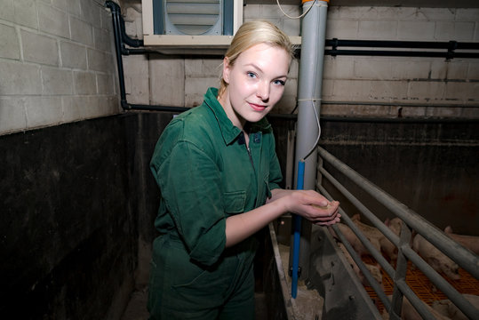 Schweinef&uuml;tterung - junge Landwirtin beurteilt Futterqualit&auml;t