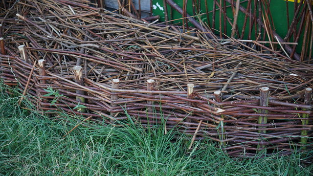 Nest,