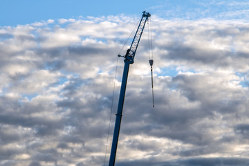 Obraz premium Evening clouds float on the sky with a dark silhouette of standing crane