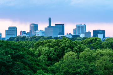 東京　夕方の日比谷公園と都心のビル群