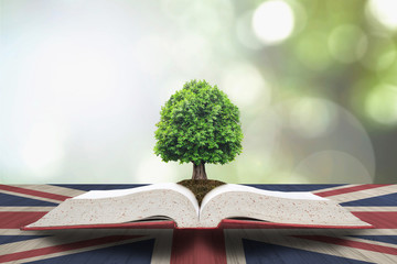 Tree of knowledge growing on textbook with UK Great Britian flag pattern wood table for English...
