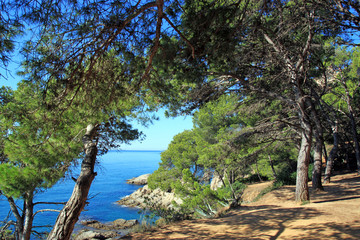 Fototapeta na wymiar Sea view of Lloret de Mar,Costa Brava, Catalonia, Spain. Green trees on the coast.