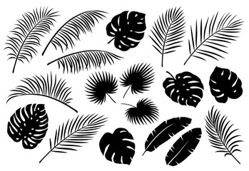 tropical palm leaves set