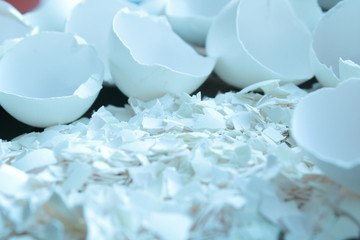 Broken egg shell of white color. Close-up. Background. Texture.