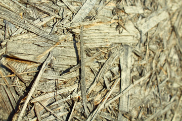 The old pressed plywood. Close-up. Side view. Background. Texture.