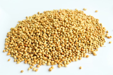 Seeds of coriander close-up. Isolated on white background.