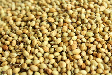 Seeds of coriander close-up. Background. Texture.