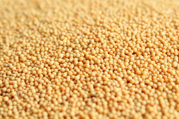 Mustard seeds are yellow. Spice. Background. Isolated.