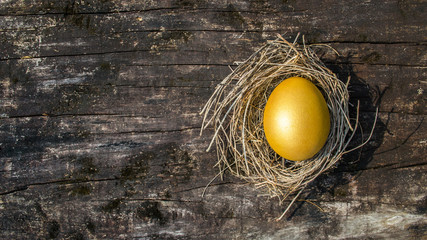 Golden egg opportunity, retirement planning, business investment and life assurance concept of...