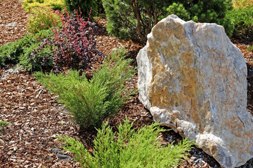 Landscape design. Bushes, rocks. Dwarf spruce. Flowers.