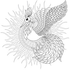 Obraz premium Firebird for anti stress Coloring Page with high details.