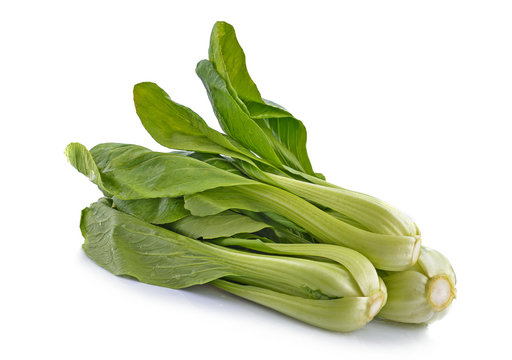 Mustard Greens Isolated On White Background