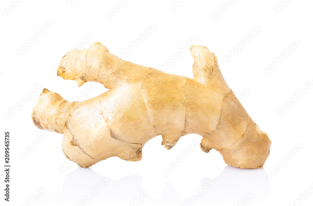 Wall mural fresh ginger root on white background for herb and medical product concept, clipping path