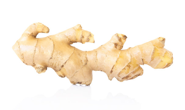 Fresh ginger root on white background for herb and medical product concept, clipping path