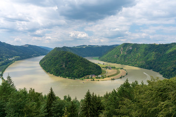 Donauschlinge Schlögen