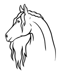 Vector and Drawn doodle horse. Coloring card and shirt art for girl isolated on white