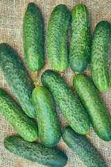 Green cucumber on sacking