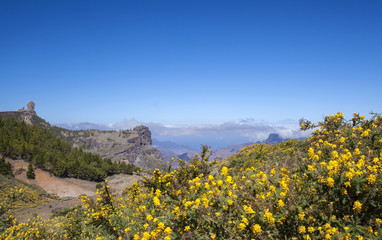 Gran Canaria, June