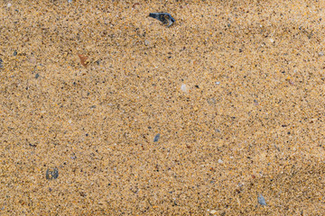 Sand texture background