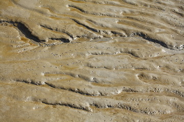 Schlick in einem Fluss bei Ebbe