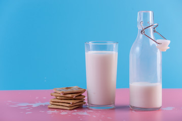 Glass bottle of fresh milk and cookies on pastel background. Colorful minimalism. Healthy dairy products with calcium