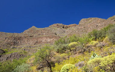 Gran Canaria, June