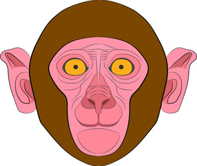 monkey head. animal face in the vector illustration