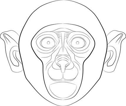 monkey head. animal face in the vector illustration