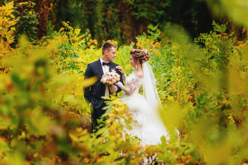Bride and groom in an autumn park. Couple newlyweds bride and groom at a wedding in yellow forest.