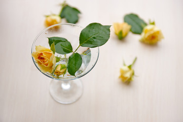 yellow rose in a wine glass on a wooden table