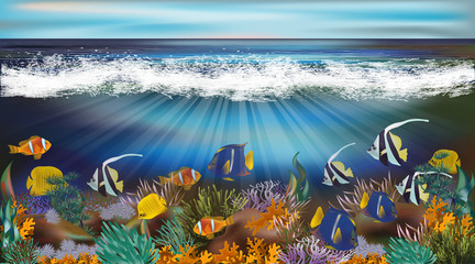 Fototapeta na wymiar Underwater wallpaper with tropical fish, vector illustration 