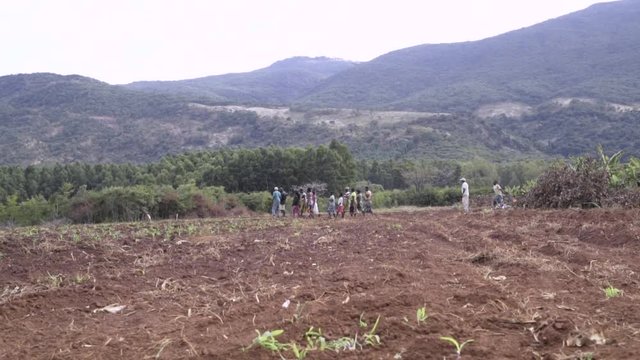 African Villagers Walk in Field