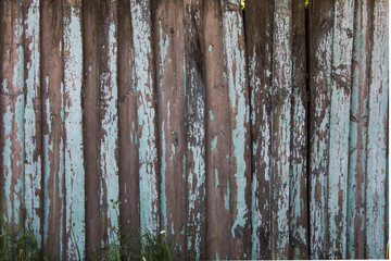Fototapeta premium old wood texture