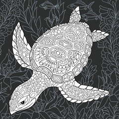 Turtle in black and white line art style