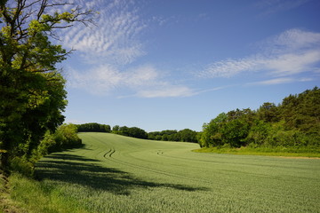 Paysage Campagne 274