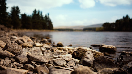 Rocky Shore