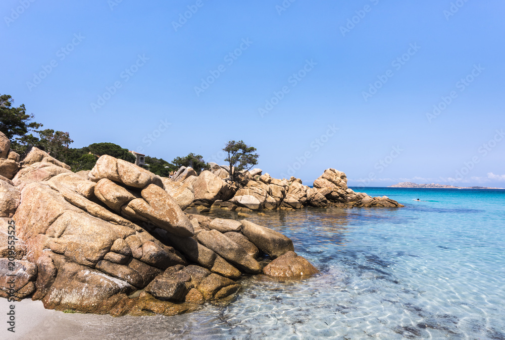 Wall mural capriccioli beach with interesting rock formation and tree surrounded by turquoise sea, sardinia, it