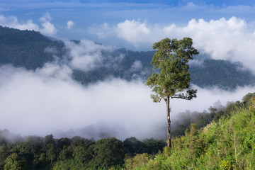 clouds sky landscape