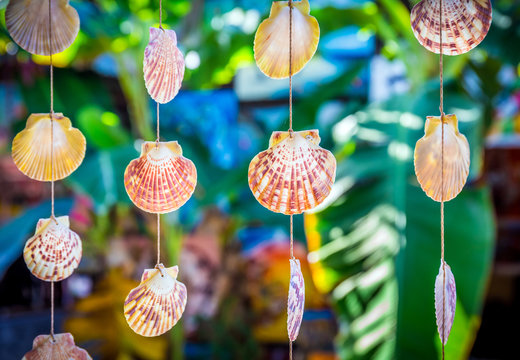 Sea shells souvenirs